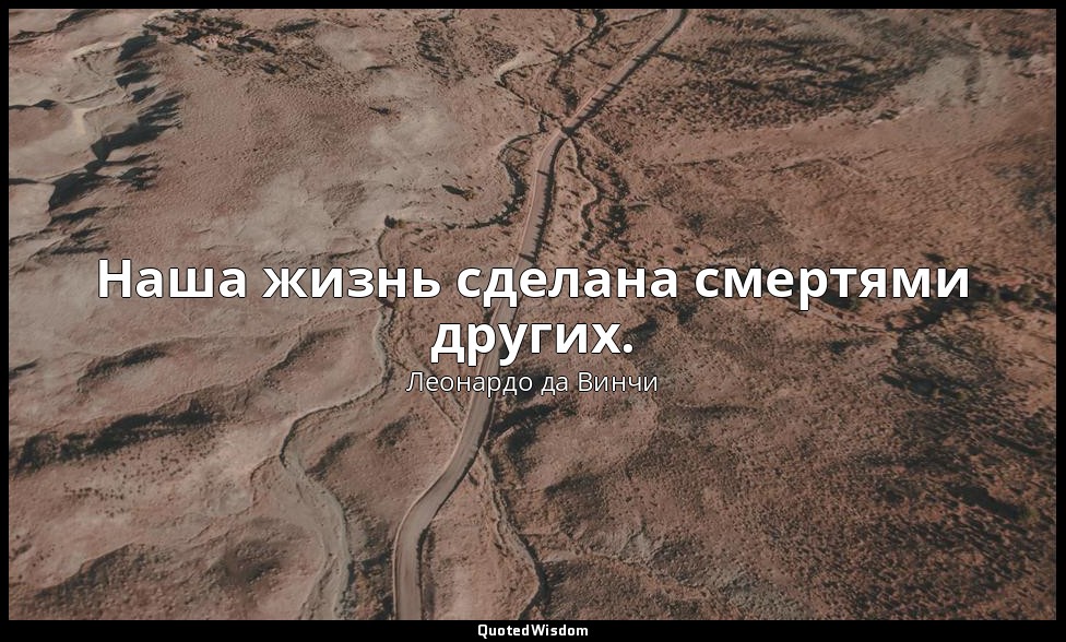 Наша жизнь сделана смертями других. — Леонардо да Винчи