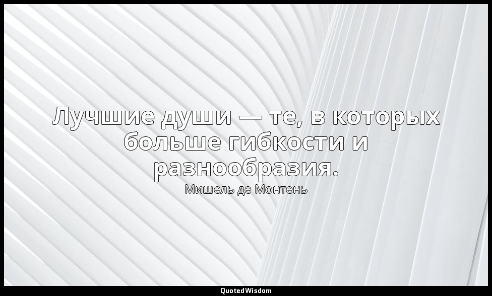 Лучшие души — те, в которых больше гибкости и разнообразия. — Мишель де Монтень