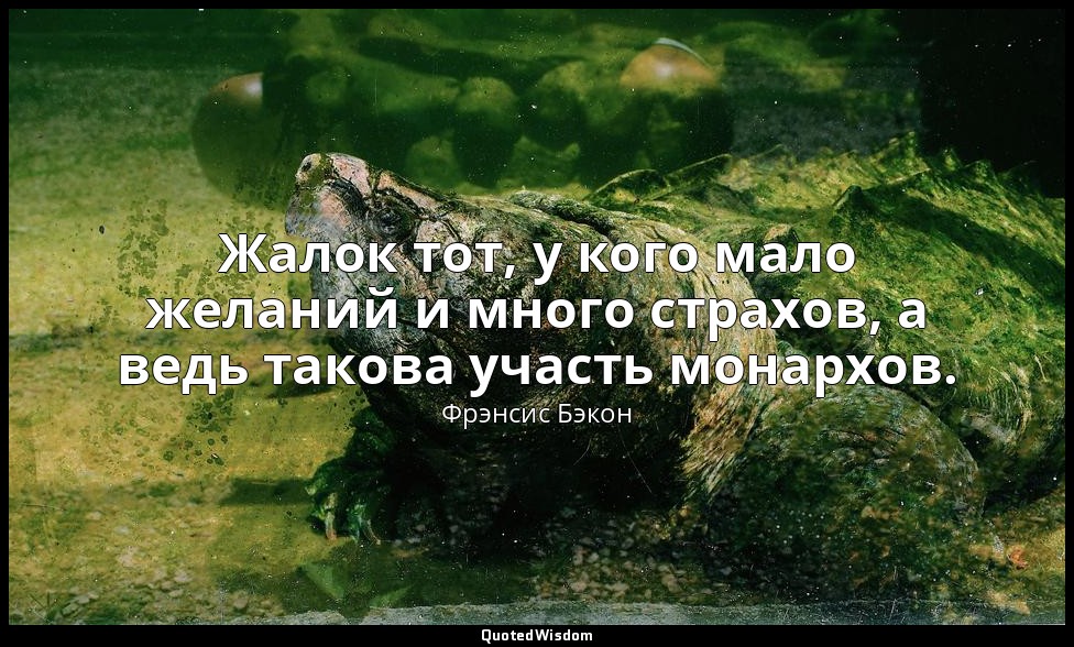 Жалок тот, у кого мало желаний и много страхов, а ведь такова участь монархов. — Фрэнсис Бэкон