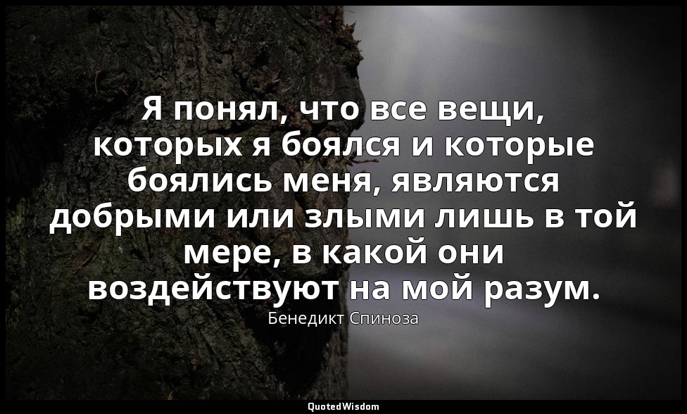 Я понял, что все вещи, которых я боялся и которые боялись меня, являются добрыми — Бенедикт Спиноза