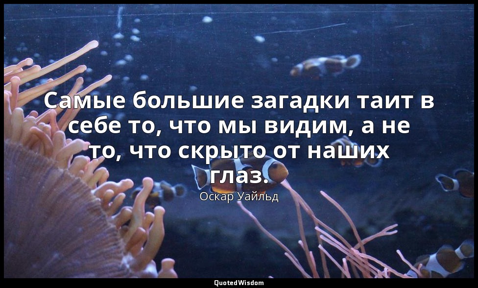 Самые большие загадки таит в себе то, что мы видим, а не то, что скрыто от наших — Оскар Уайльд