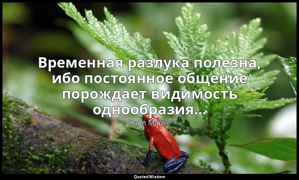 Временная разлука полезна, ибо постоянное общение порождает видимость однообрази — Карл Маркс