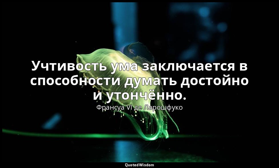 Учтивость ума заключается в способности думать достойно и утончённо. — Франсуа VI де Ларошфуко