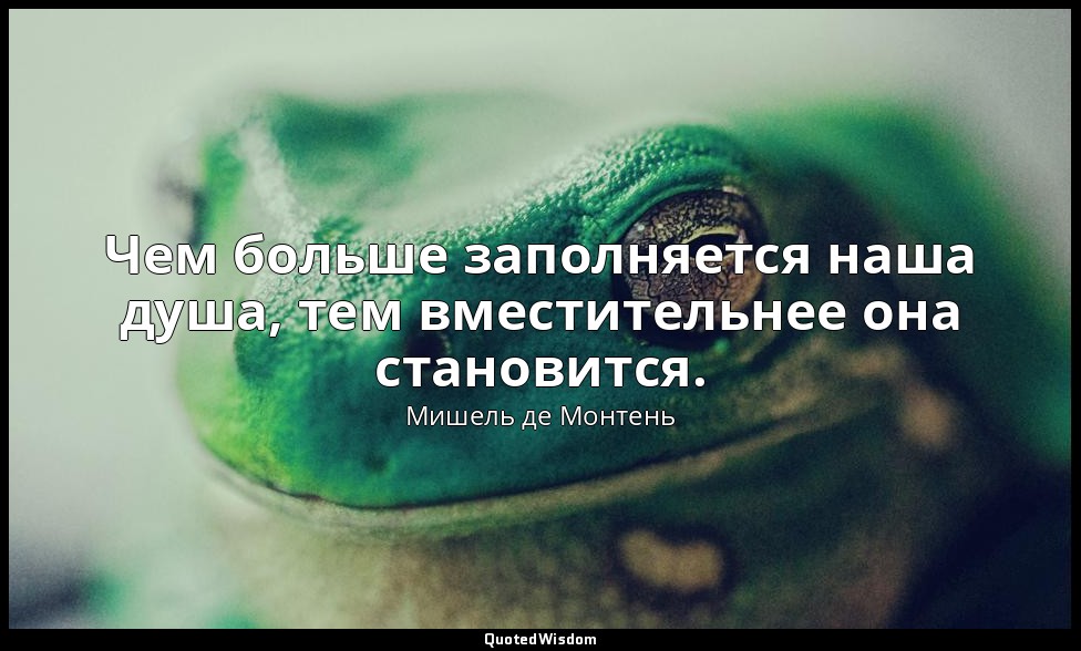 Чем больше заполняется наша душа, тем вместительнее она становится. — Мишель де Монтень