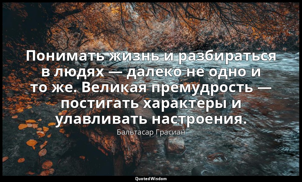 Понимать жизнь и разбираться в людях — далеко не одно и то же. Великая премудрос — Бальтасар Грасиан