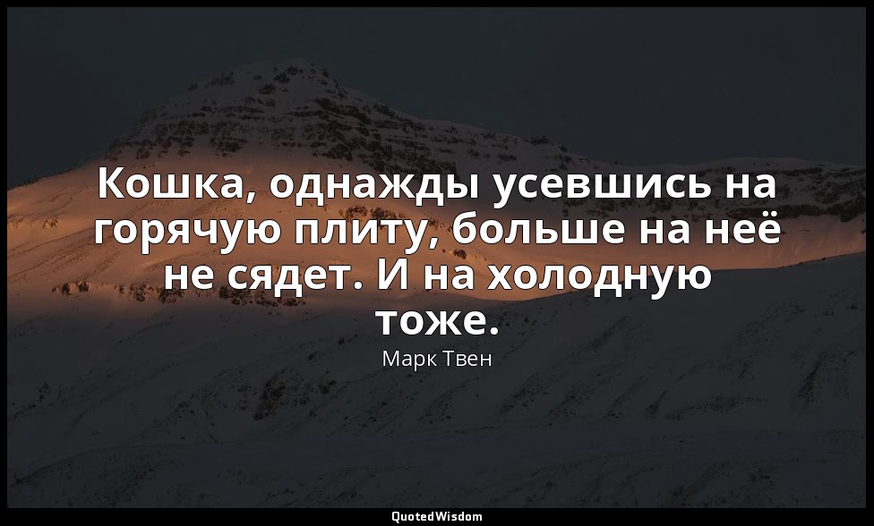 Кошка, однажды усевшись на горячую плиту, больше на неё не сядет. И на холодную  — Марк Твен