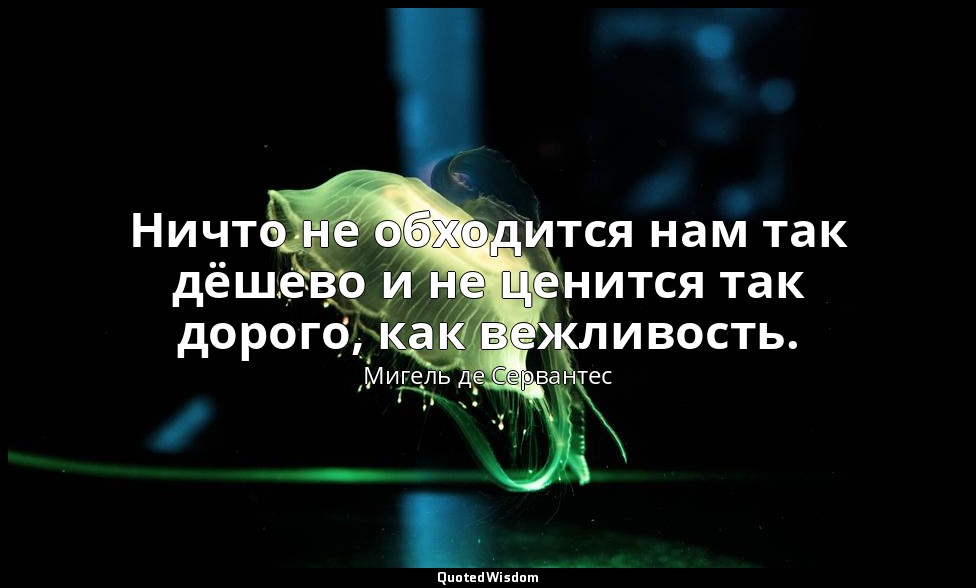 Ничто не обходится нам так дёшево и не ценится так дорого, как вежливость. — Мигель де Сервантес