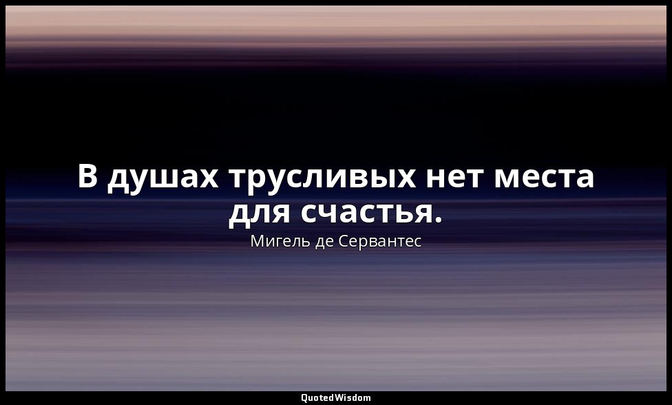 В душах трусливых нет места для счастья. — Мигель де Сервантес