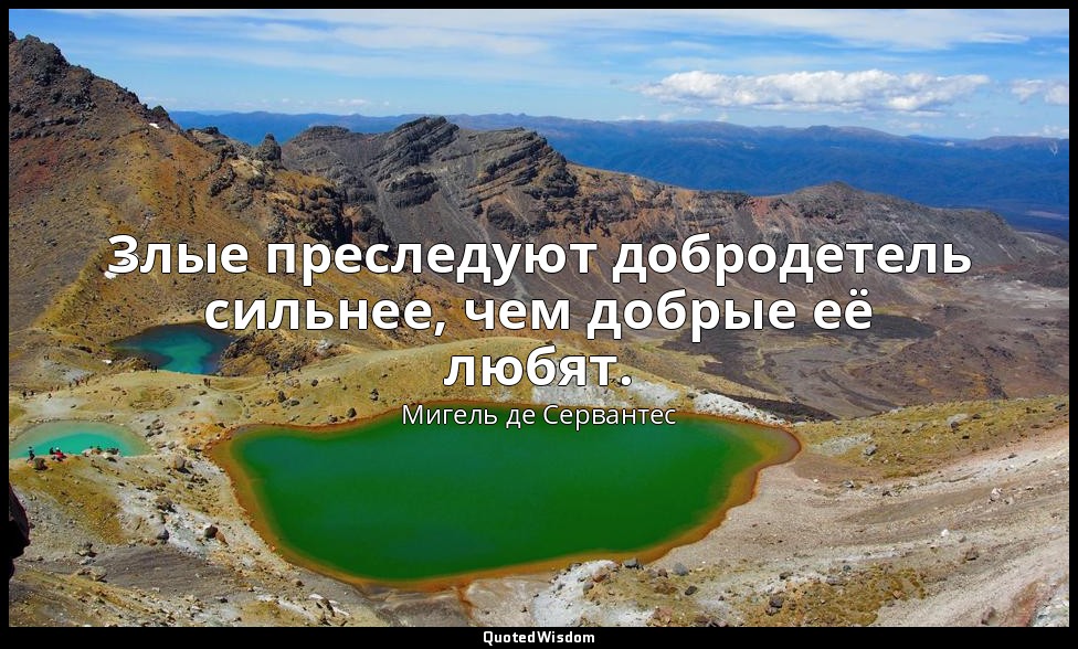 Злые преследуют добродетель сильнее, чем добрые её любят. — Мигель де Сервантес