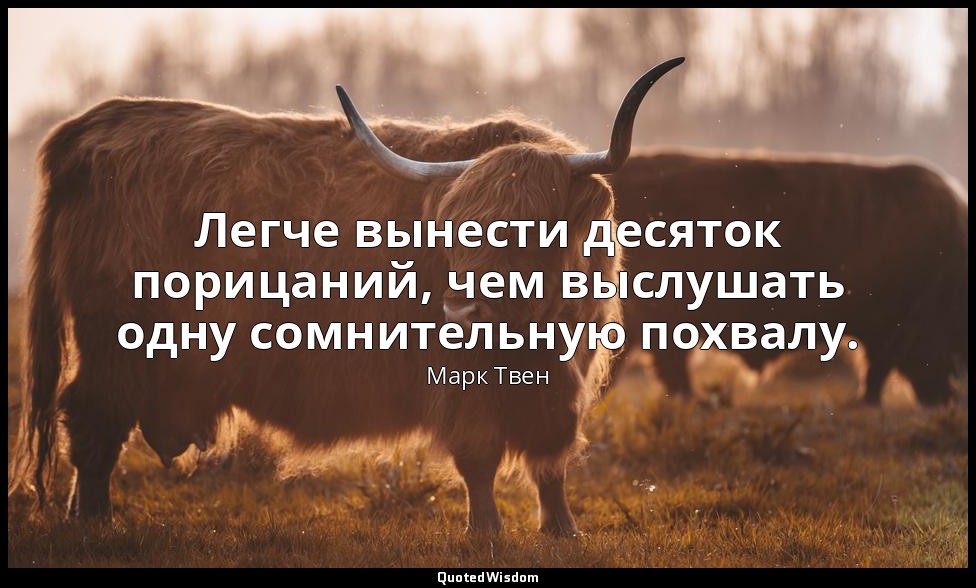 Легче вынести десяток порицаний, чем выслушать одну сомнительную похвалу. — Марк Твен