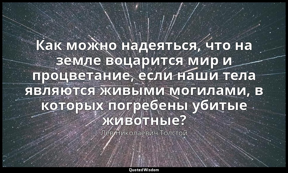 Как можно надеяться, что на земле воцарится мир и процветание, если наши тела яв — Лев Николаевич Толстой