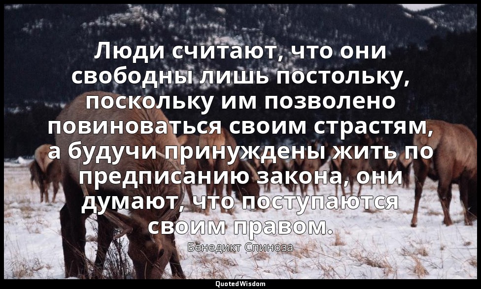Люди считают, что они свободны лишь постольку, поскольку им позволено повиновать — Бенедикт Спиноза