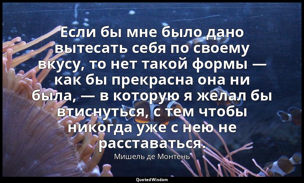 Если бы мне было дано вытесать себя по своему вкусу, то нет такой формы — как бы — Мишель де Монтень