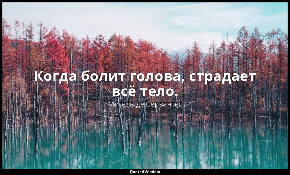Когда болит голова, страдает всё тело. — Мигель де Сервантес