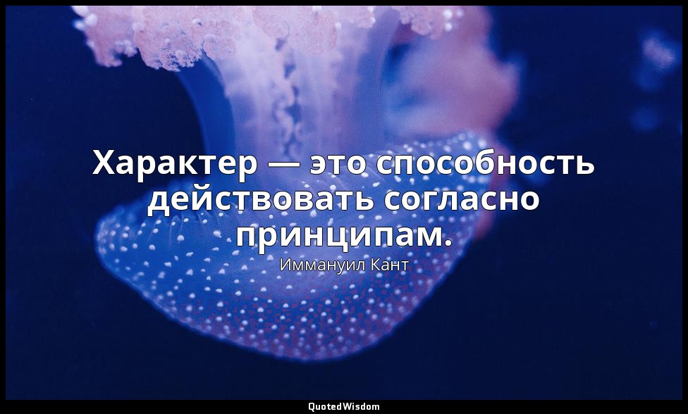 Характер — это способность действовать согласно принципам. — Иммануил Кант
