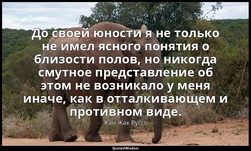 До своей юности я не только не имел ясного понятия о близости полов, но никогда  — Жан-Жак Руссо