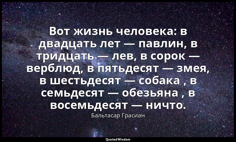 Вот жизнь человека: в двадцать лет — павлин, в тридцать — лев, в сорок — верблюд — Бальтасар Грасиан