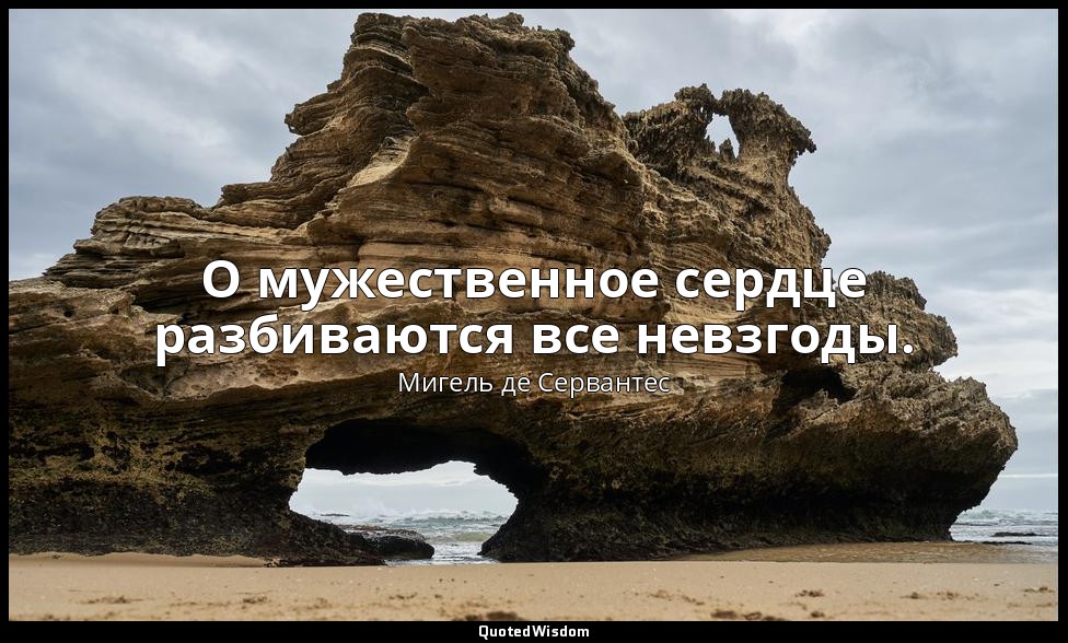 О мужественное сердце разбиваются все невзгоды. — Мигель де Сервантес