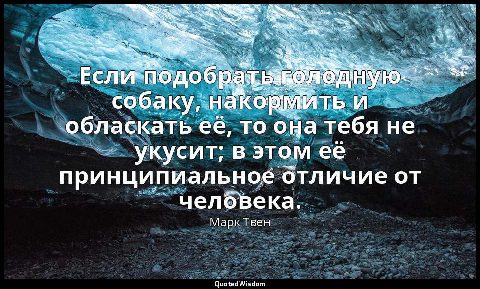Если подобрать голодную собаку, накормить и обласкать её, то она тебя не укусит; — Марк Твен
