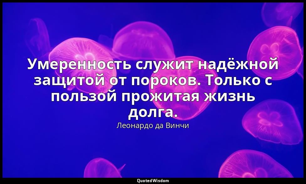 Умеренность служит надёжной защитой от пороков. Только с пользой прожитая жизнь  — Леонардо да Винчи