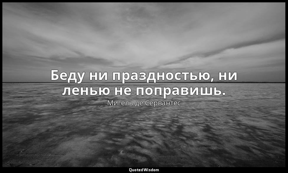 Беду ни праздностью, ни ленью не поправишь. — Мигель де Сервантес