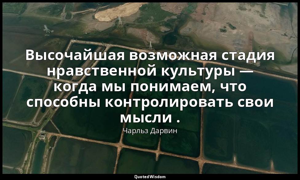 Высочайшая возможная стадия нравственной культуры — когда мы понимаем, что спосо — Чарльз Дарвин