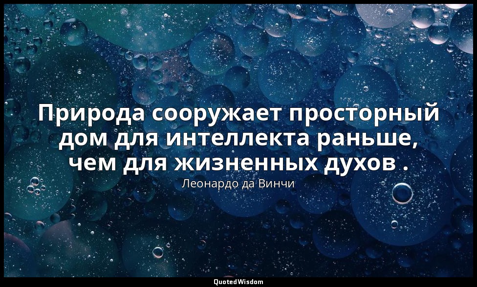 Природа сооружает просторный дом для интеллекта раньше, чем для жизненных духов  — Леонардо да Винчи