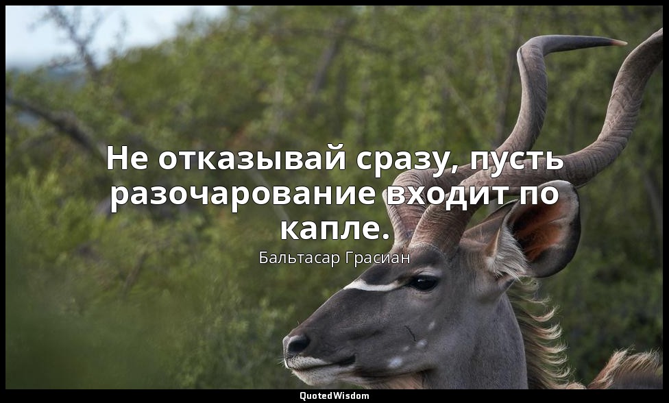 Не отказывай сразу, пусть разочарование входит по капле. — Бальтасар Грасиан
