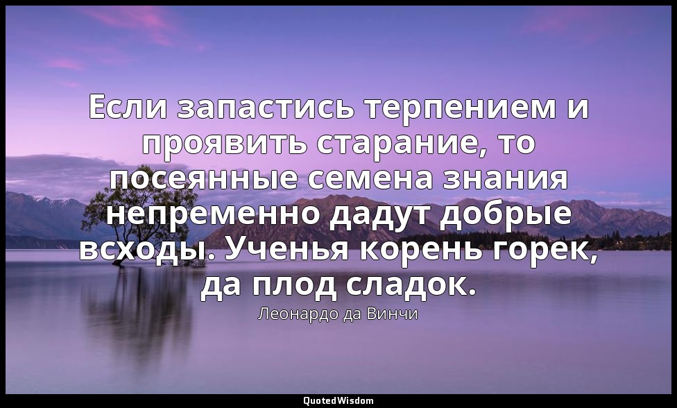 Если запастись терпением и проявить старание, то посеянные семена знания непреме — Леонардо да Винчи