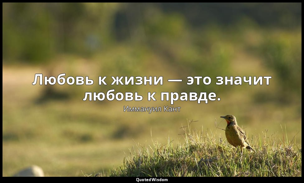 Любовь к жизни — это значит любовь к правде. — Иммануил Кант