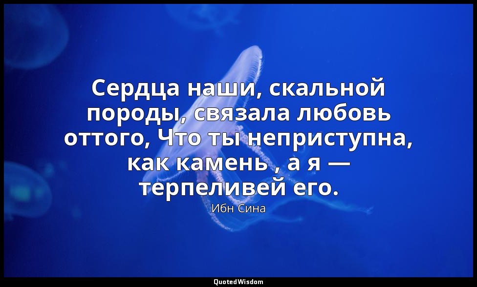 Сердца наши, скальной породы, связала любовь оттого, Что ты неприступна, как кам — Ибн Сина