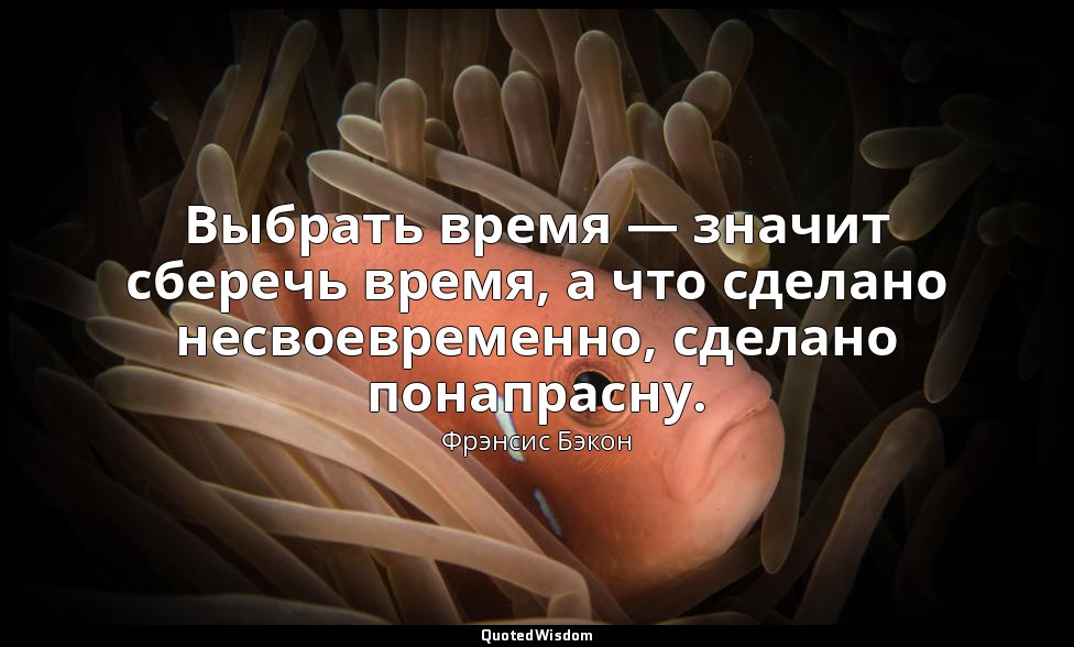 Выбрать время — значит сберечь время, а что сделано несвоевременно, сделано пона — Фрэнсис Бэкон