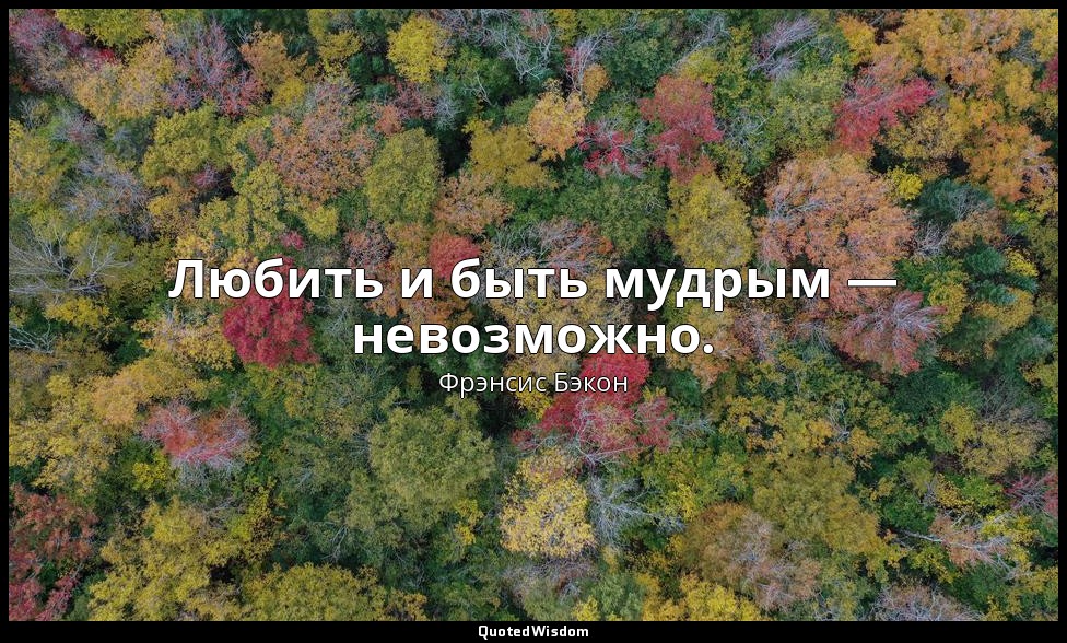 Любить и быть мудрым — невозможно. — Фрэнсис Бэкон