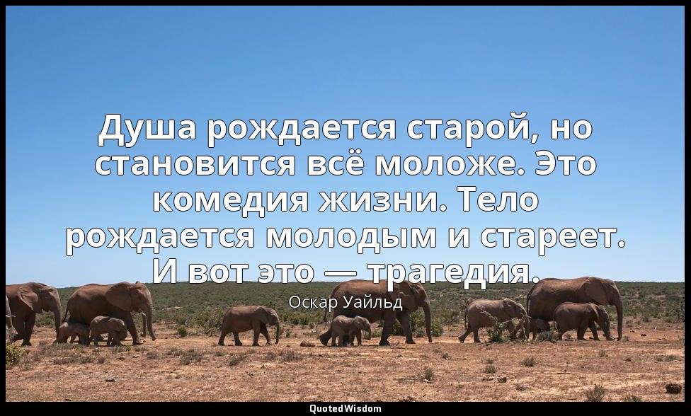 Душа рождается старой, но становится всё моложе. Это комедия жизни. Тело рождает — Оскар Уайльд
