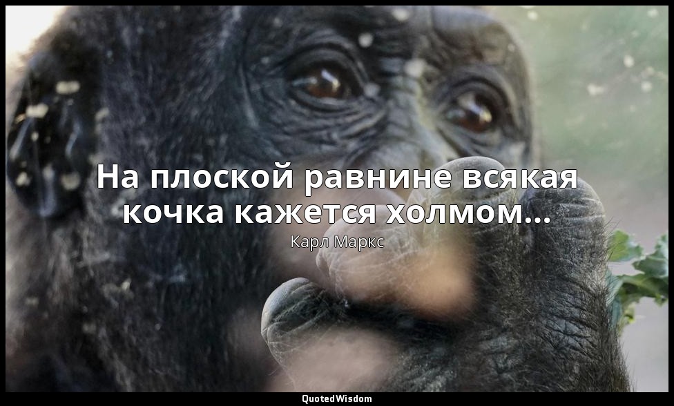 На плоской равнине всякая кочка кажется холмом… — Карл Маркс