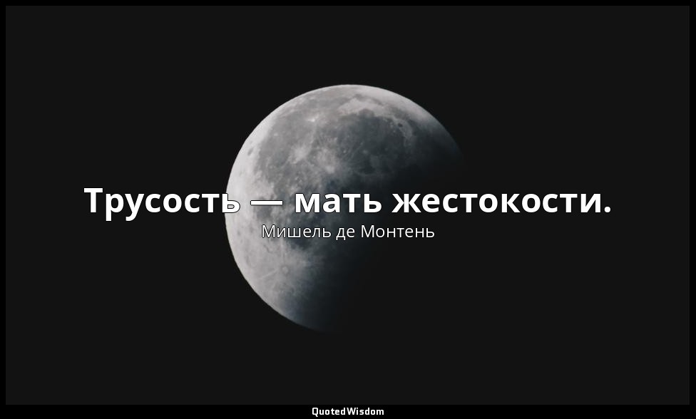 Трусость — мать жестокости. — Мишель де Монтень