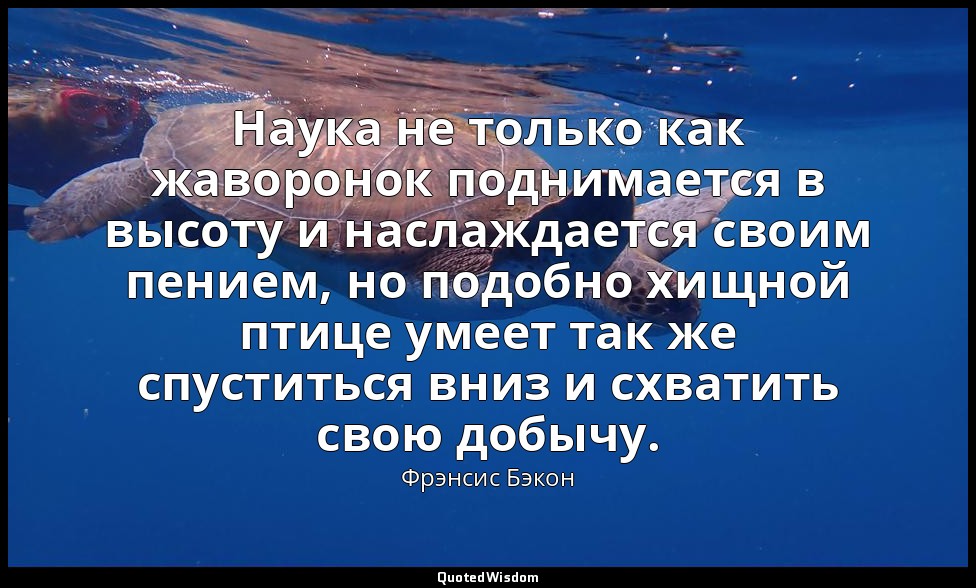 Наука не только как жаворонок поднимается в высоту и наслаждается своим пением,  — Фрэнсис Бэкон