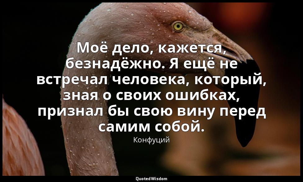 Моё дело, кажется, безнадёжно. Я ещё не встречал человека, который, зная о своих — Конфуций