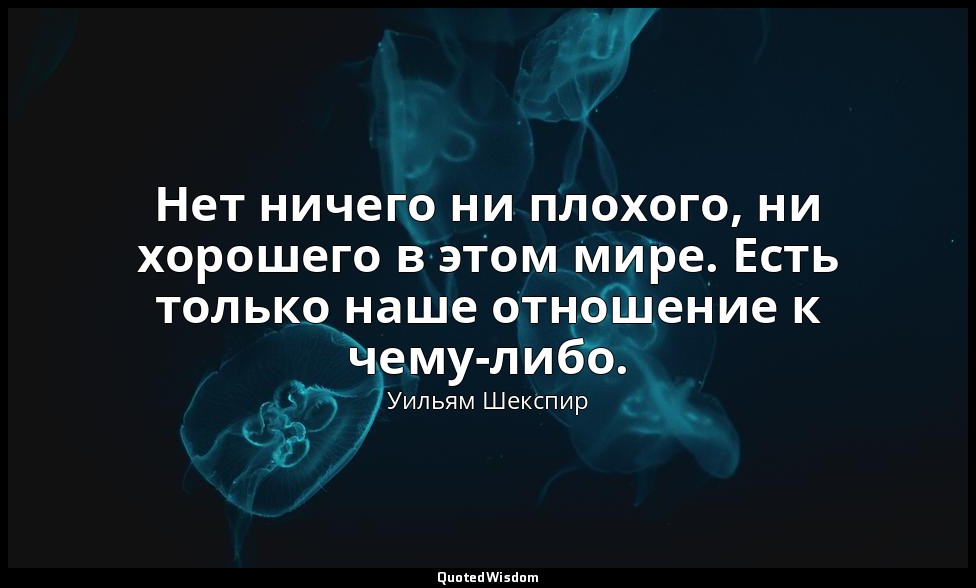 Нет ничего ни плохого, ни хорошего в этом мире. Есть только наше отношение к чем — Уильям Шекспир