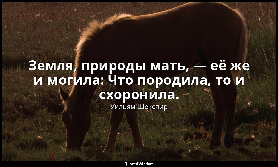 Земля, природы мать, — её же и могила: Что породила, то и схоронила. — Уильям Шекспир