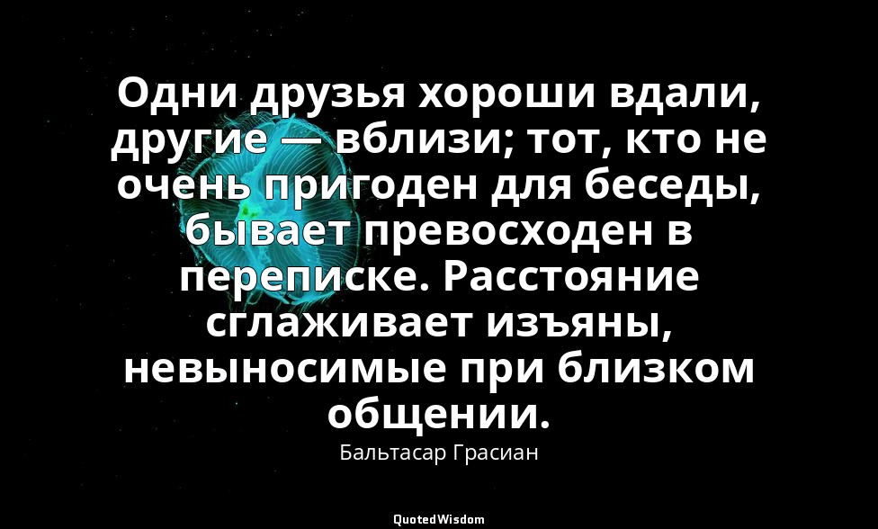 Одни друзья хороши вдали, другие — вблизи; тот, кто не очень пригоден для беседы — Бальтасар Грасиан