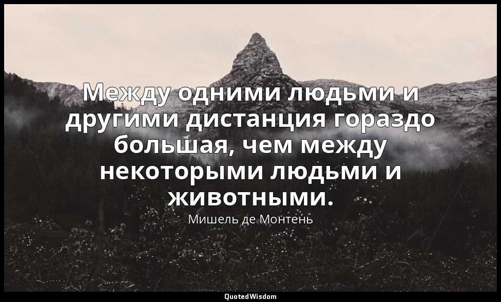 Между одними людьми и другими дистанция гораздо большая, чем между некоторыми лю — Мишель де Монтень