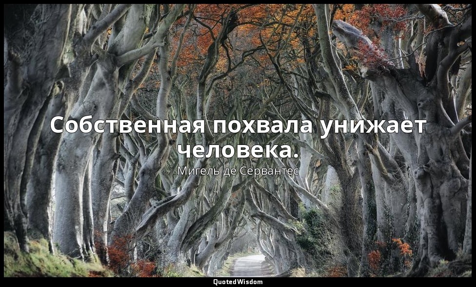 Собственная похвала унижает человека. — Мигель де Сервантес
