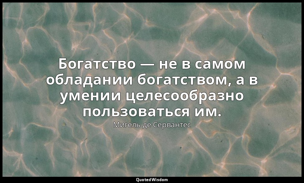 Богатство — не в самом обладании богатством, а в умении целесообразно пользовать — Мигель де Сервантес