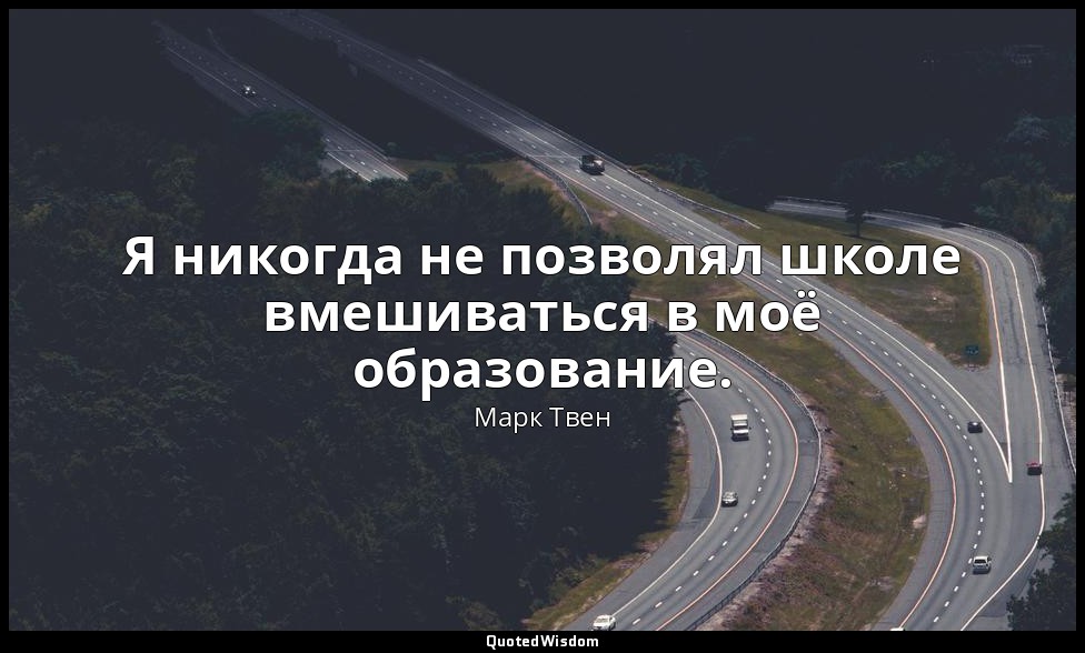 Я никогда не позволял школе вмешиваться в моё образование. — Марк Твен