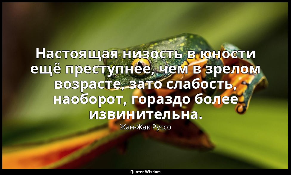 Настоящая низость в юности ещё преступнее, чем в зрелом возрасте, зато слабость, — Жан-Жак Руссо