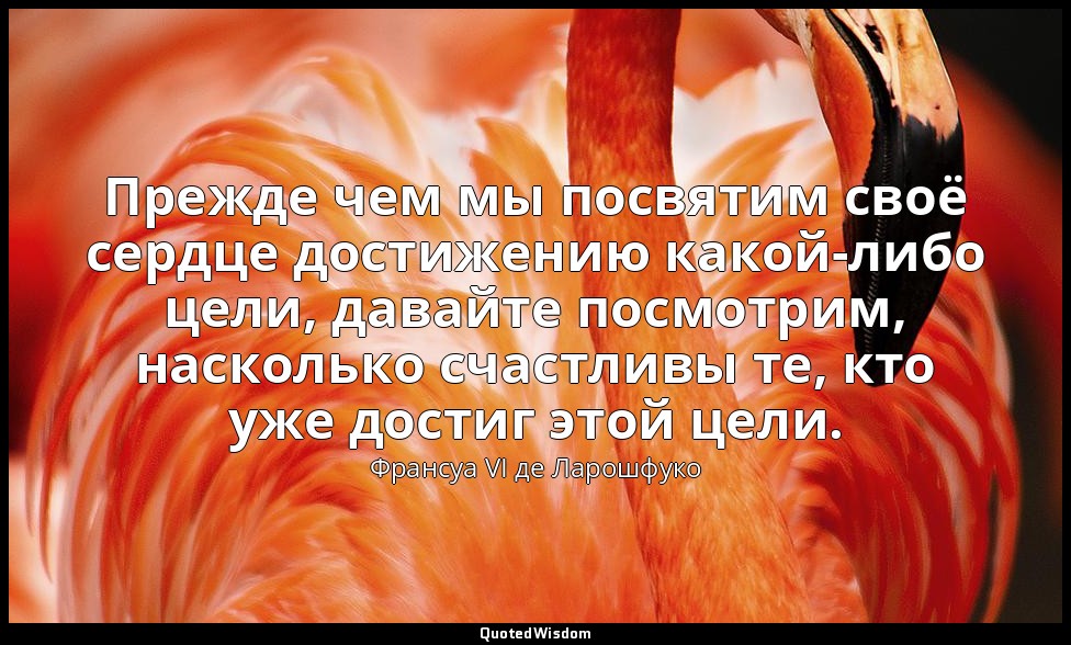 Прежде чем мы посвятим своё сердце достижению какой-либо цели, давайте посмотрим — Франсуа VI де Ларошфуко