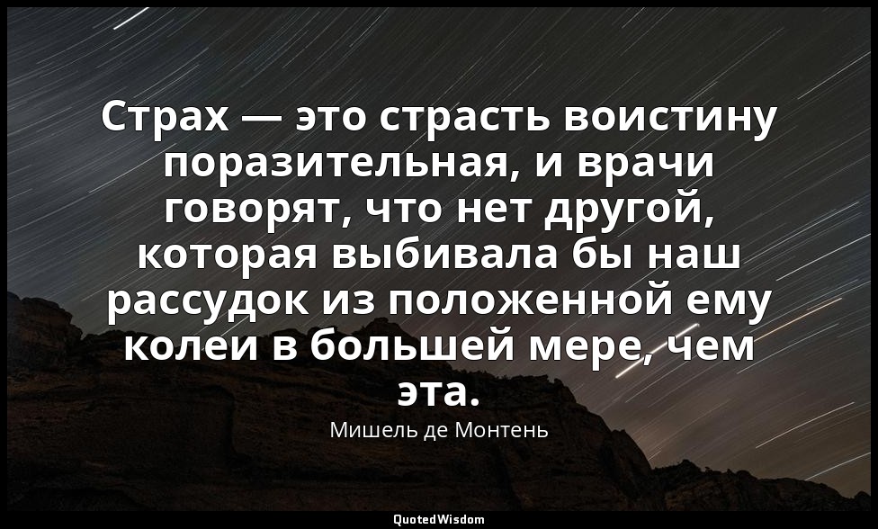 Страх — это страсть воистину поразительная, и врачи говорят, что нет другой, кот — Мишель де Монтень