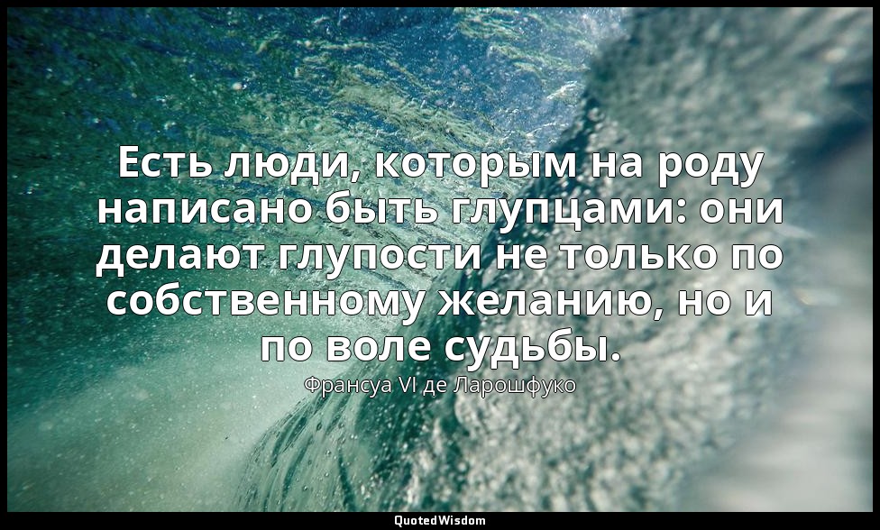 Есть люди, которым на роду написано быть глупцами: они делают глупости не только — Франсуа VI де Ларошфуко