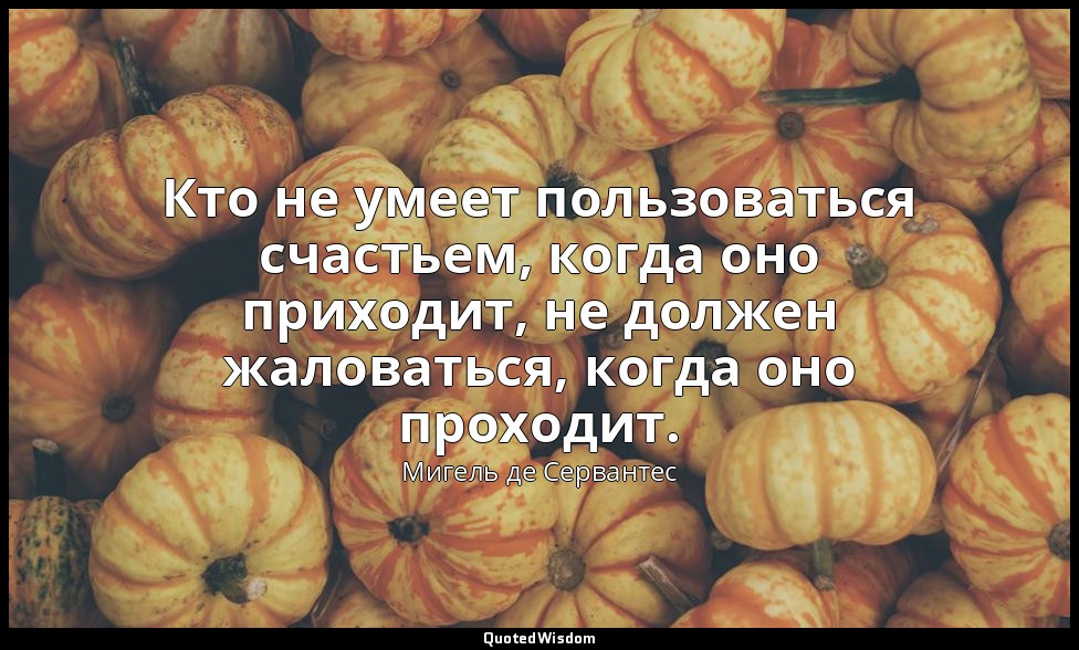 Кто не умеет пользоваться счастьем, когда оно приходит, не должен жаловаться, ко — Мигель де Сервантес